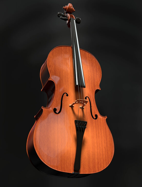 Viola da Gamba